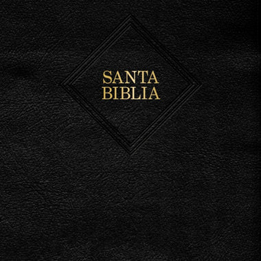 RVR 1960 Biblia letra grande tamaño manual, negro, piel fabricada con índice (edición 2023)