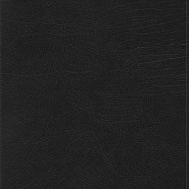 RVR 1960 Biblia de Estudio Arcoiris, negro símil piel